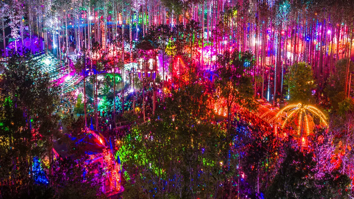 Woman Falsely Accused in Electric Forest Death Investigation Cleared